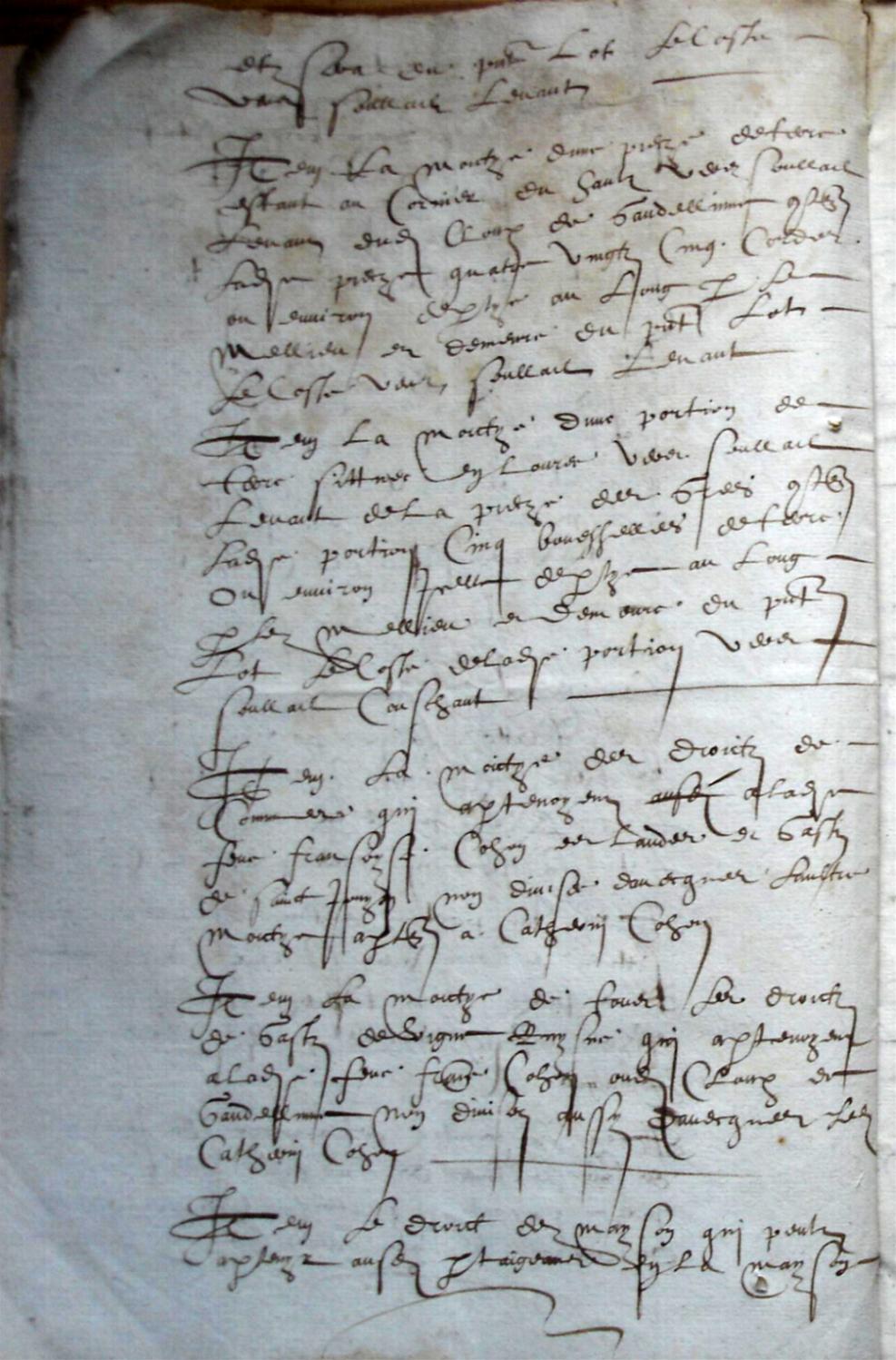 Cohon-F_1619 (10).JPG